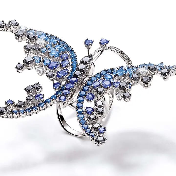Damiani Campaign